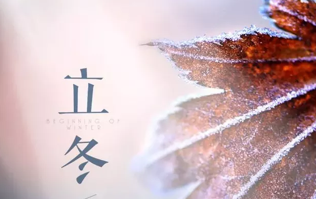 立冬已至，夏秋已逝